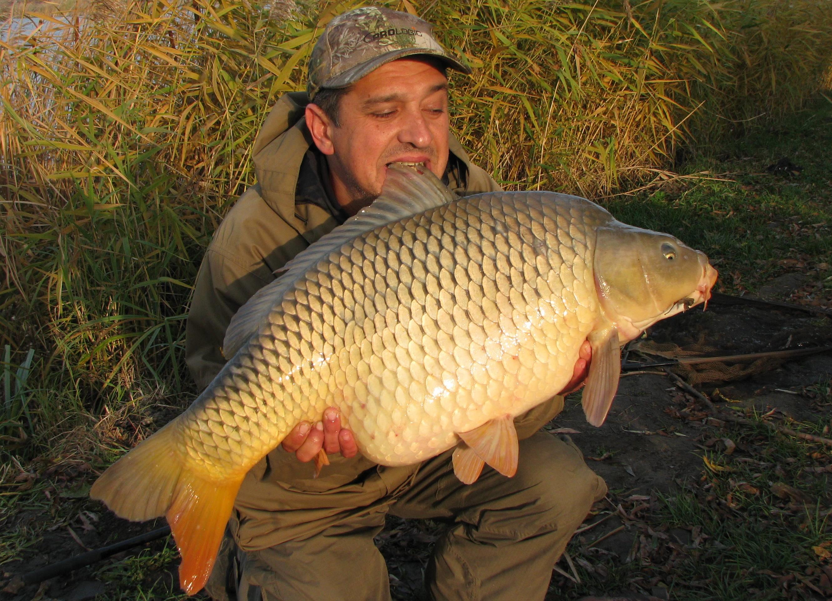 capturi - IMG_2814.JPG